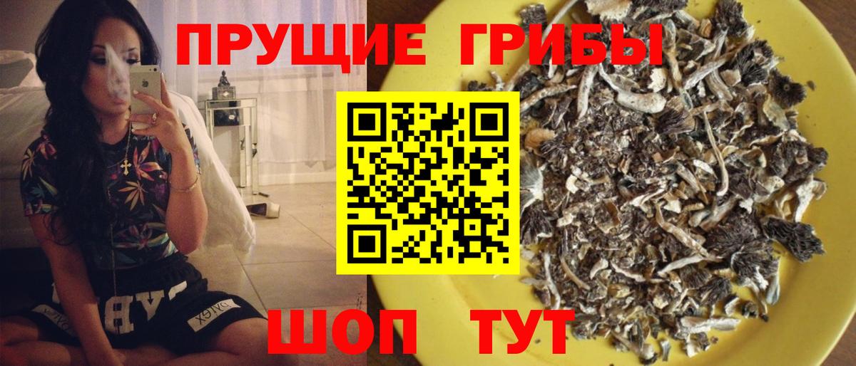 Галлюциногенные грибы GOLDEN TEACHER  Вход с VPN  Ханты-Мансийск  Галлюциногенные грибы Psilocybine cubensis 